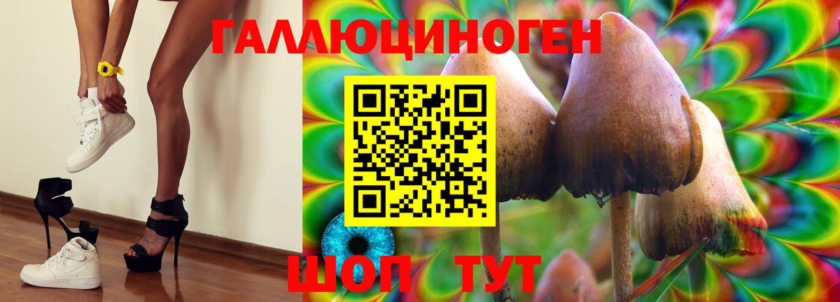 Ликино-Дулёво  Галлюциногенные грибы ЛСД  Вход с VPN 